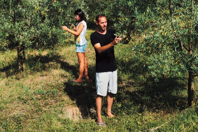 La gastronomie, atout majeur de la Slovénie